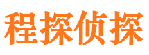 镇沅寻人公司